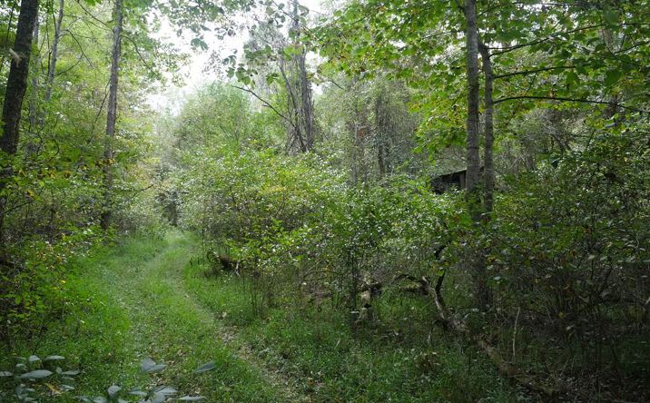 Pictures of Land, Multifamily property located at TBD Bryson Cove Road, Abingdon, VA 24210 for sales - image #1