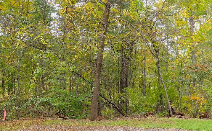 Pictures of Land, Multifamily property located at TBD Fairlake Ln, Laurel Fork, VA 24352 for sales - image #1