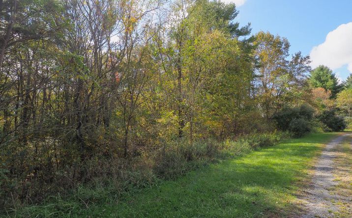 Pictures of Land, Multifamily property located at TBD Blue Lake Ln (Lot #40), Laurel Fork, VA 24352 for sales - image #1