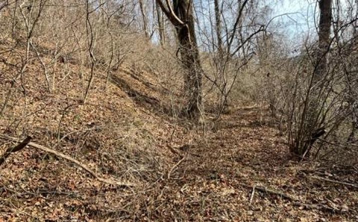 Pictures of Land, Multifamily property located at TBD Orchard Gap Rd, Fancy Gap, VA 24328 for sales - image #1