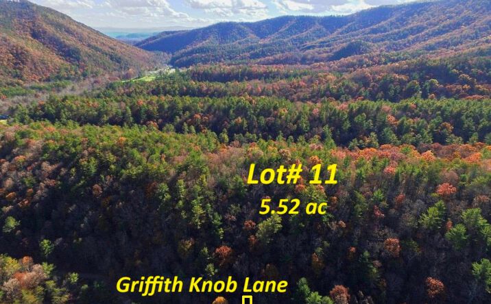 Pictures of Land, Multifamily property located at Lot 11 Griffith Knob Lane, Wytheville, VA 24382 for sales - image #1