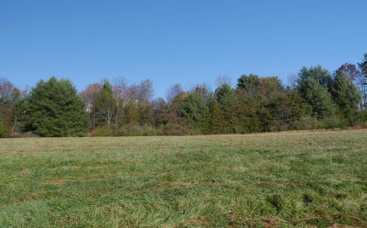 Pictures of Land, Multifamily property located at TBD Harmon St, Hillsville, VA 24343 for sales - image #1