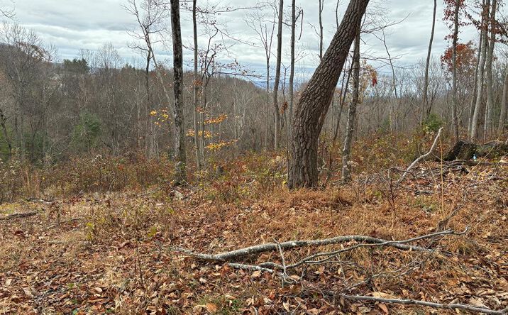 Pictures of Land property located at TBD Fill Street, Pounding Mill, VA 24637 for sales - image #1