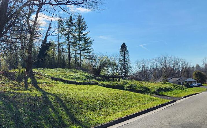 Pictures of Land, Multifamily property located at 57 Beaverview, Bristol, VA 24201 for sales - image #1