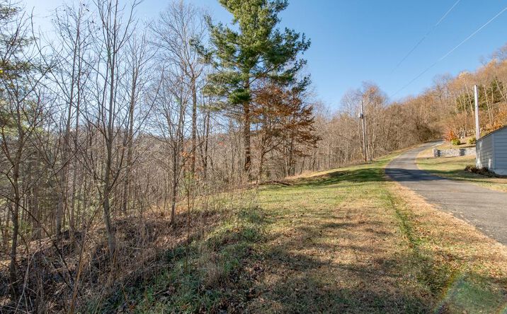 Pictures of Land, Multifamily property located at Lot 203 Covered Bridge Trl, Fancy Gap, VA 24328 for sales - image #1