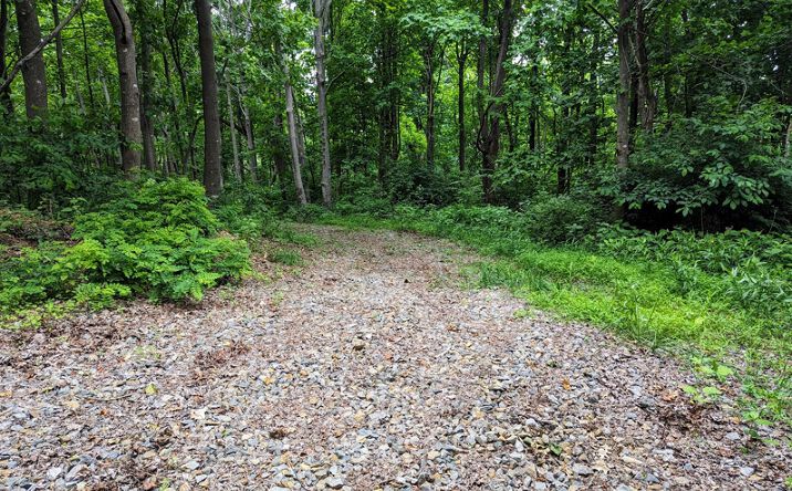 Pictures of Land property located at 0 Jeb Stuart Hwy, Meadows of Dan, VA 24120 for sales - image #1