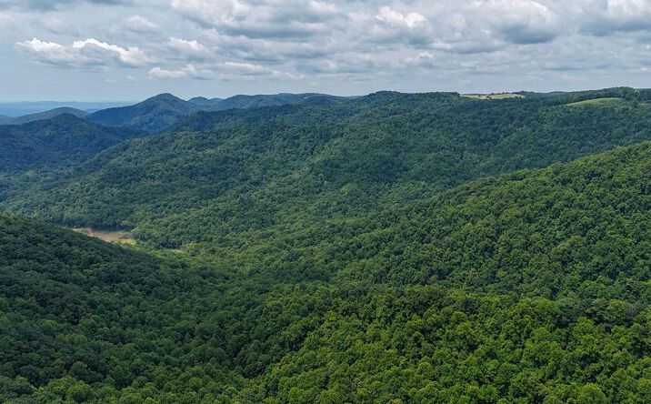 Pictures of Land property located at 0 Jeb Stuart Hwy, Meadows of Dan, VA 24120 for sales - image #1