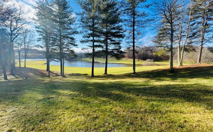 Pictures of Land, Multifamily property located at TBD Manor House Dr, Laurel Fork, VA 24352 for sales - image #1