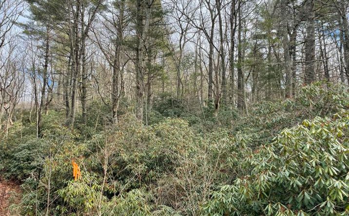 Pictures of Land, Multifamily property located at TBD Cascade Mtn, Fancy Gap, VA 24328 for sales - image #1