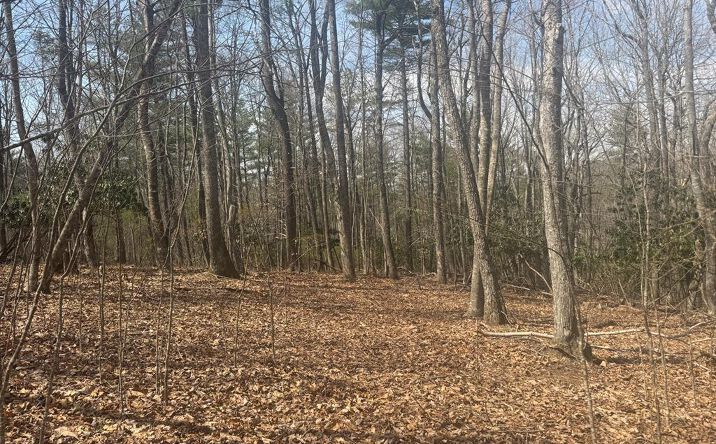 Pictures of Land, Multifamily property located at TBD Oak Valley Ln, Galax, VA 24333 for sales - image #1