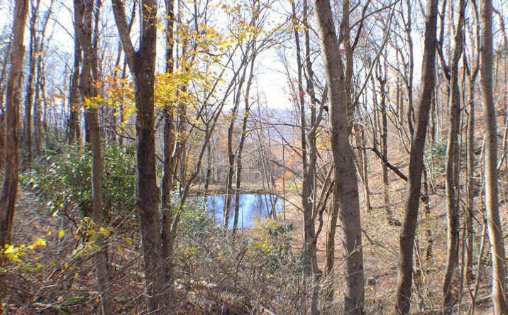 Pictures of Land, Multifamily property located at 1 Gulch Rd, Meadows of Dan, VA 24120 for sales - image #1