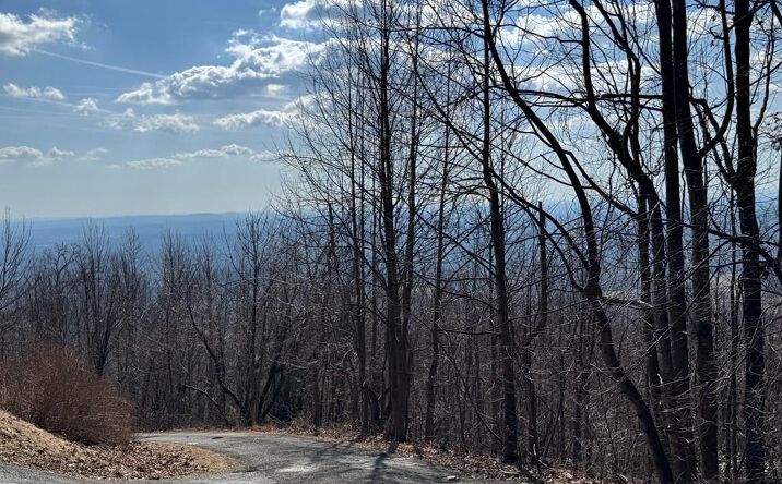 Pictures of Land, Multifamily property located at TBD Morning Side Trail, Fancy Gap, VA 24328 for sales - image #1