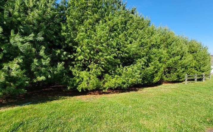 Pictures of Land, Multifamily property located at 303 Stonebrook Dr, Galax, VA 24333 for sales - image #1