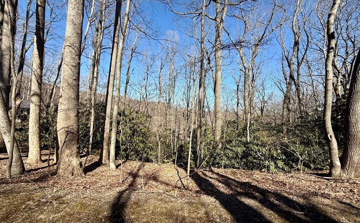 Pictures of Land, Multifamily property located at TBD Crooked White Oak Trail, Hillsville, VA 24343 for sales - image #1