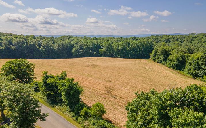 Pictures of Land, Multifamily property located at TBD Hanging Tree, Hillsville, VA 24343 for sales - image #1