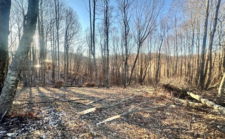 Pictures of Land, Multifamily property located at TBD Hidden Valley Ln, Independence, VA 24348 for sales - image #1
