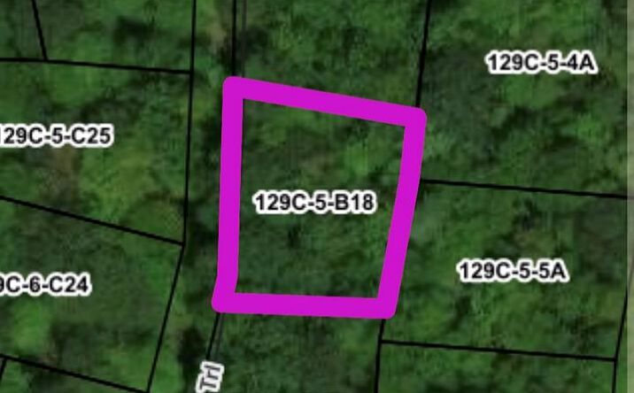 Pictures of Land, Multifamily property located at TBD Laurel Trail, Fancy Gap, VA 24328 for sales - image #1