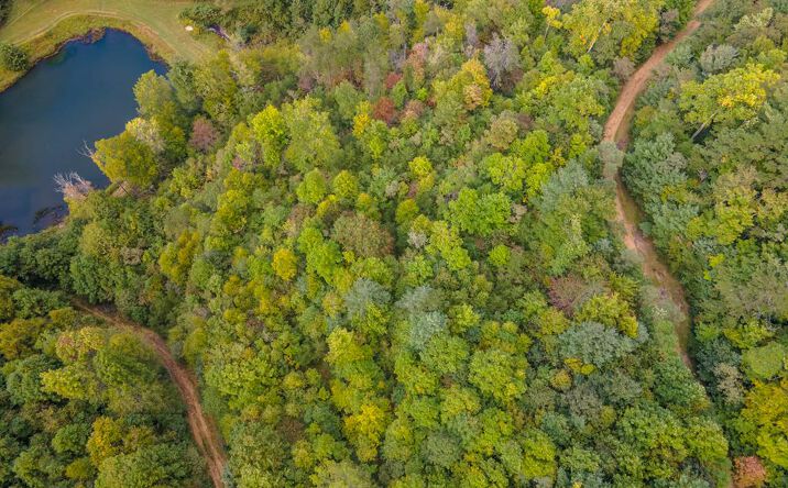 Pictures of Land, Multifamily property located at 1.6 Acre Starry Nights Dr, Fancy Gap, VA 24328 for sales - image #1