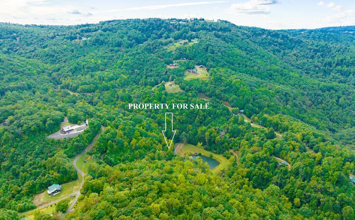Pictures of Land, Multifamily property located at 3 Lots Old Pond Trl, Fancy Gap, VA 24328 for sales - image #1