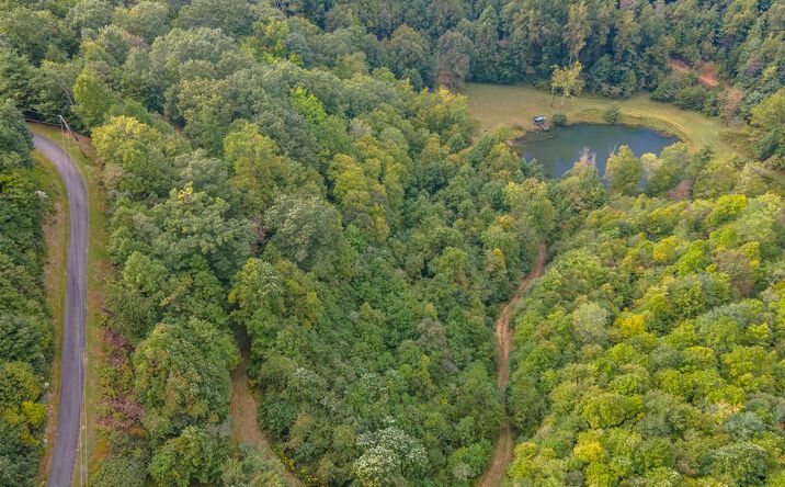 Pictures of Land, Multifamily property located at L 22 Starry Nights Dr, Fancy Gap, VA 24328 for sales - image #1