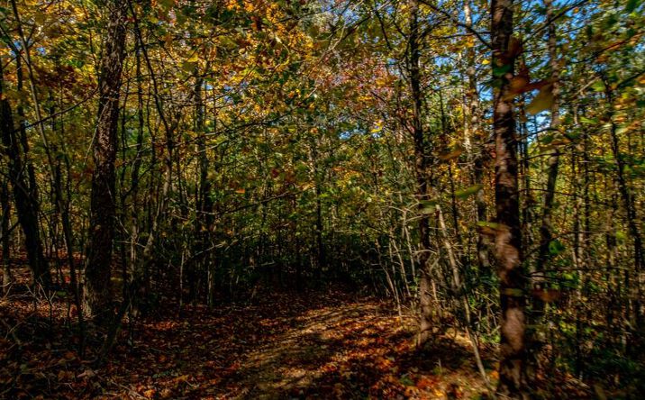 Pictures of Land, Multifamily property located at 6 Lots Old Pond Trl, Fancy Gap, VA 24328 for sales - image #1
