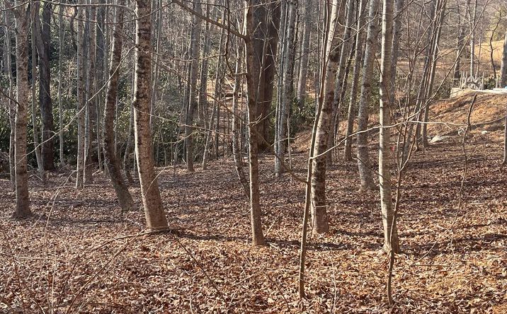 Pictures of Land, Multifamily property located at Tbd Brookside Tr, Fancy Gap, VA 24328 for sales - image #1