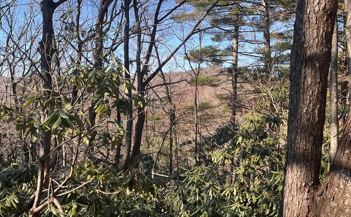 Pictures of Land, Multifamily property located at Tbd Rock Ledge Tr, Fancy Gap, VA 24328 for sales - image #1