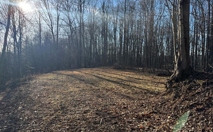 Pictures of Land, Multifamily property located at 31203 Hardwood Dr, Meadowview, VA 24361 for sales - image #1