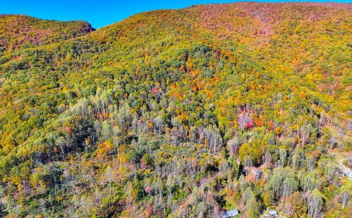 Pictures of Land property located at TBD Hunter Drive, Saltville, VA 24370 for sales - image #1