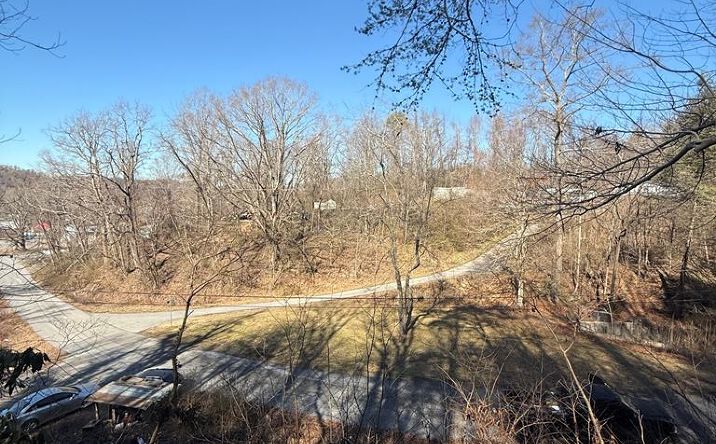 Pictures of Land, Multifamily property located at lot Tbd, Damascus, VA 24236 for sales - image #1