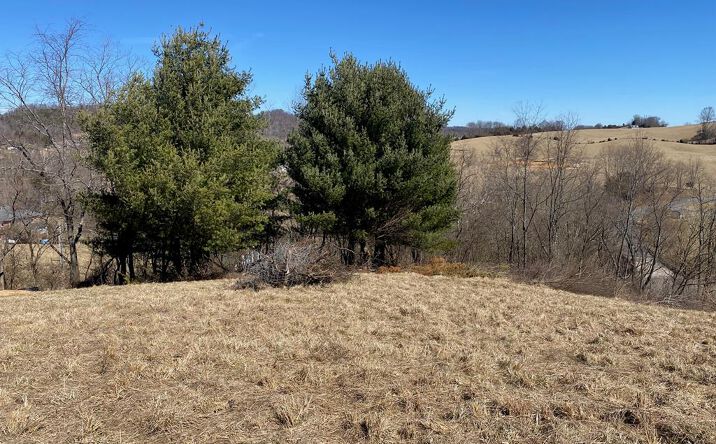 Pictures of Land, Multifamily property located at TBD Azure, Abingdon, VA 24211 for sales - image #1
