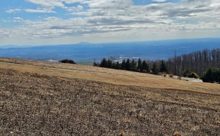 Pictures of Land property located at Lot#2 Cabin Ridge Trail, Fancy Gap, VA 24328 for sales - image #1
