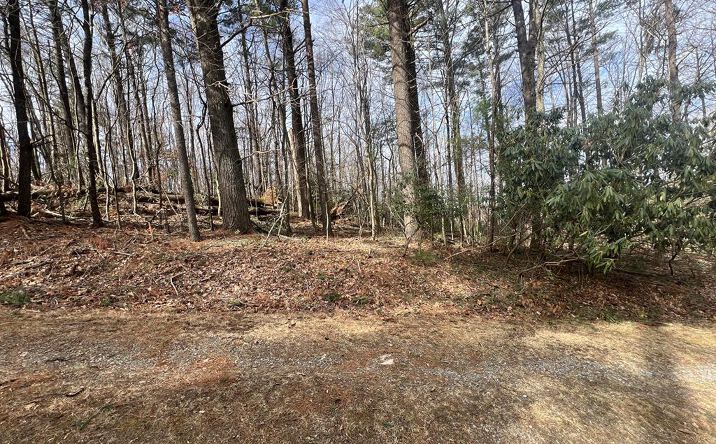 Pictures of Land, Multifamily property located at TBD Landscaped Lane, Fancy Gap, VA 24328 for sales - image #1