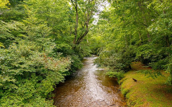 Pictures of Land, Multifamily property located at TBD Grandview Drive, Sparta, NC 28675 for sales - image #1