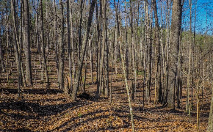 Pictures of Land, Multifamily property located at TBD Chestnut Falls Lane, Galax, VA 24333 for sales - image #1