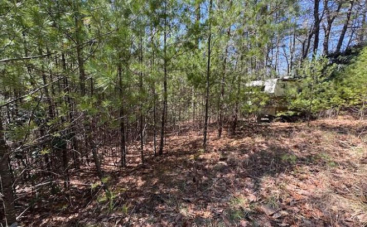 Pictures of Land, Multifamily property located at 0 Buck Hollow Trail, Sugar Grove, VA 24375 for sales - image #1