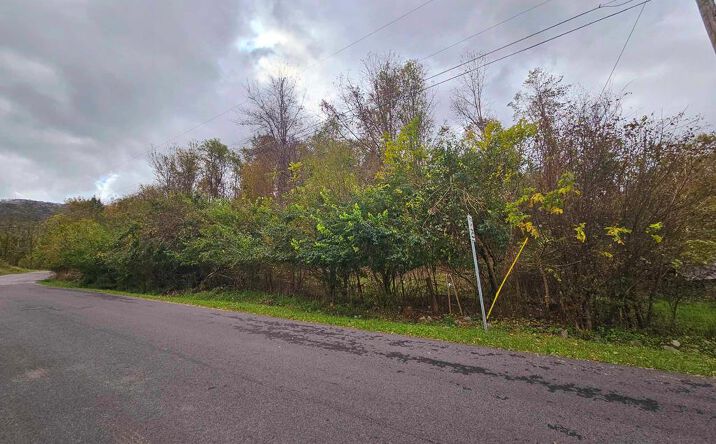 Pictures of Land, Multifamily property located at TBD Deer Ridge Trail, Tazewell, VA 24651 for sales - image #1