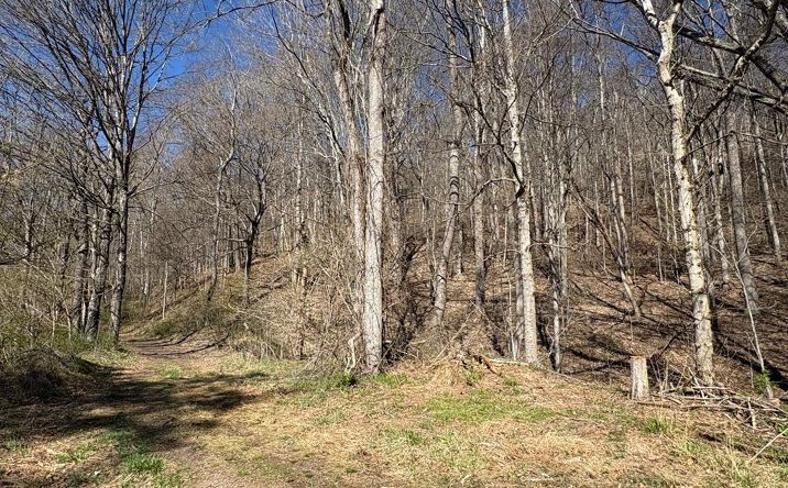 Pictures of Land, Multifamily property located at TBD Clark Street, Saltville, VA 24370 for sales - image #1