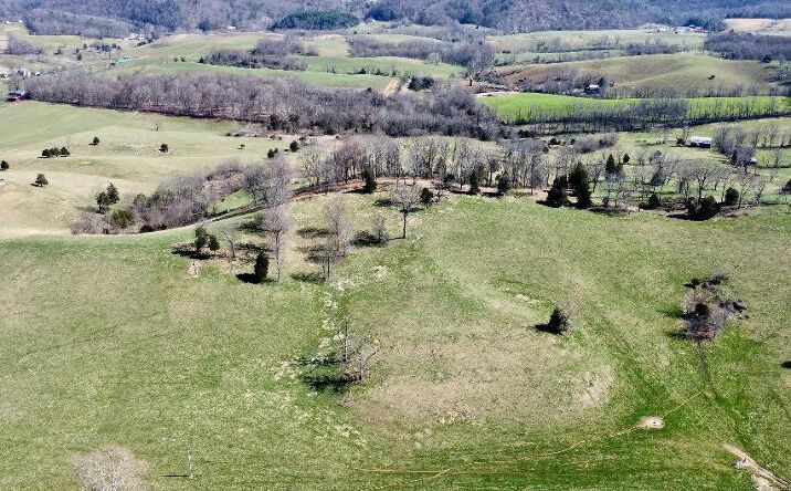 Pictures of Land, Multifamily property located at TBD Monroe Rd., Meadowview, VA 24361 for sales - image #1