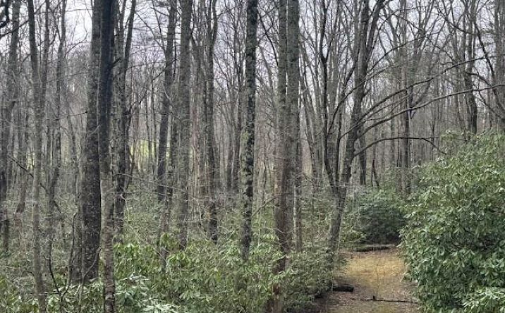 Pictures of Land, Multifamily property located at TBD Crooked Creek Lane, Fancy Gap, VA 24328 for sales - image #1