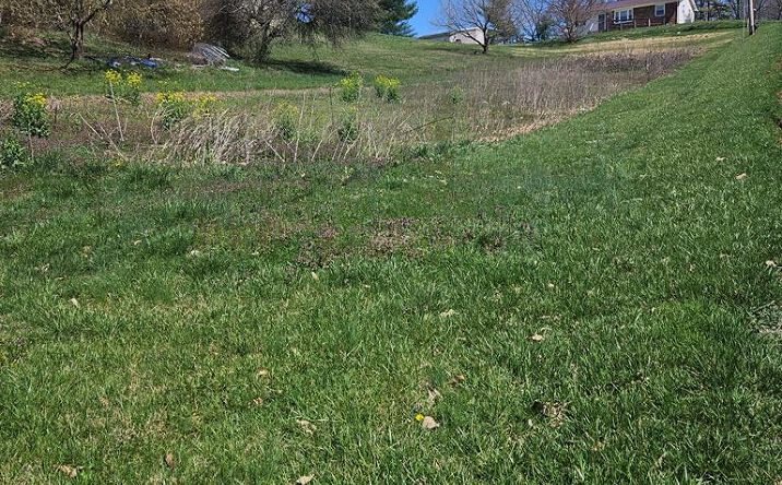 Pictures of Land, Multifamily property located at TBD Euclid Ave, Marion, VA 24354 for sales - image #1