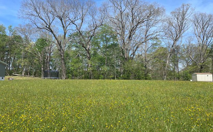 Pictures of Land, Multifamily property located at TBD (Lot B) Daw Road, Raven, VA 24639 for sales - image #1