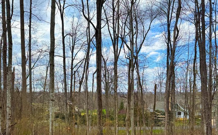 Pictures of Land, Multifamily property located at TBD Stonewall Rdg, Bristol, VA 24202 for sales - image #1