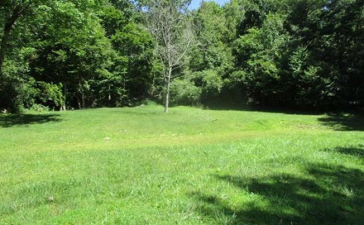 Pictures of Land, Multifamily property located at TBD Big Ridge Road, Elk Creek, VA 24326 for sales - image #1