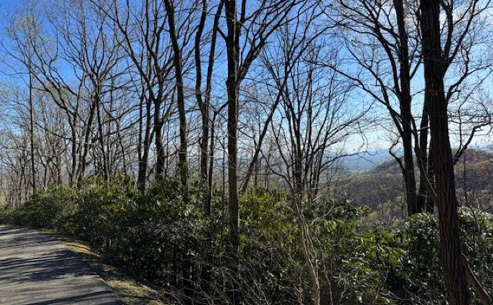 Pictures of Land, Multifamily property located at TBD Antler Point, Hillsville, VA 24343 for sales - image #1