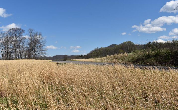 Pictures of Land property located at #49 River Walk Lane, Sparta, NC 28675 for sales - image #1