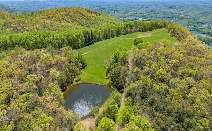 image of property at 83 ACRES VOLUNTEER RD Fancy Gap VA 24328