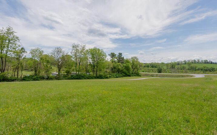 Pictures of Land, Multifamily property located at TBD E East Lee Highway, Max Meadows, VA 24360 for sales - image #1