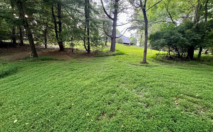 Pictures of Land, Multifamily property located at TBD Beth Scott Dr, Pulaski, VA 24301 for sales - image #1