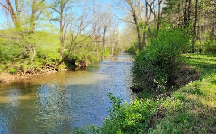 Pictures of Land, Multifamily property located at TBD Golden Drive, Woolwine, VA 24185 for sales - image #1